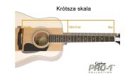 EPIPHONE PRO-1 PLUS ACOUSTIC VS - 10