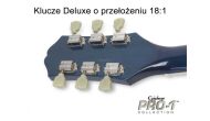 EPIPHONE PRO-1 PLUS ACOUSTIC VS - 11