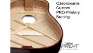 EPIPHONE PRO-1 PLUS ACOUSTIC VS - 14
