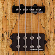 CORT GB4 CUSTOM NAT+CASE BAS - 3