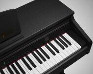 ARTESIA DP-10E RW - 4