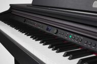 ARTESIA DP-10E RW - 3