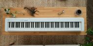 CASIO CDP-S110 WE - 5
