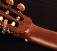 CORT AC120CE OP W/BAG - 4