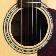 CORT MR600F NS - 5