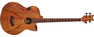 ORTEGA D3C-4 - 2