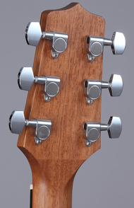 TAKAMINE GD11MCE NS - 4