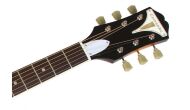EPIPHONE PRO-1 PLUS ACOUSTIC VS - 3