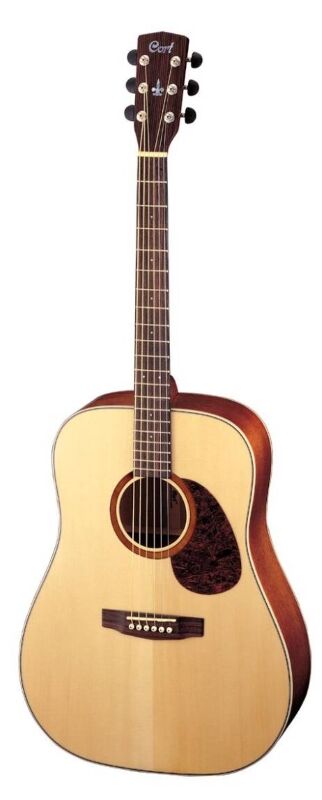 CORT EARTH 100 NS
