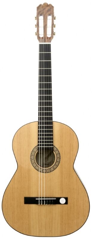 HOFNER HC 503