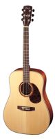 CORT EARTH 100 NS