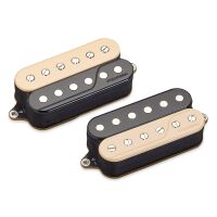 FISHMAN FLUENCE CLASSIC HUMBUCKER SET OPEN CORE ZEBRA PRF-COC-SZ2