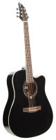 FLYCAT C100 BK