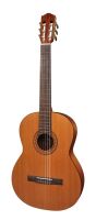 SALVADOR CORTEZ CC-22L