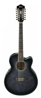 IBANEZ AEL2012E TKS