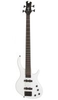 EPIPHONE TOBY STANDARD IV AW BAS