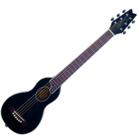 WASHBURN RO 10 (B) gitara akustyczna