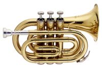 Stagg WS-TR245S - trąbka "kieszonkowa” Bb 