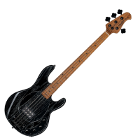 STERLING RAY 34 (SASS-BK-M2-WB) bas elektryczny