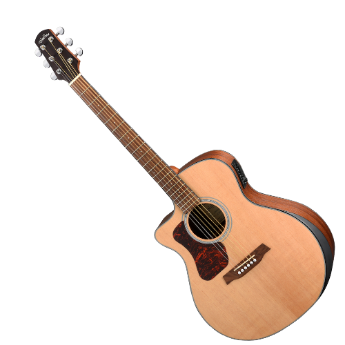 WALDEN G 550 RCELW (N) gitara elektroakustyczna