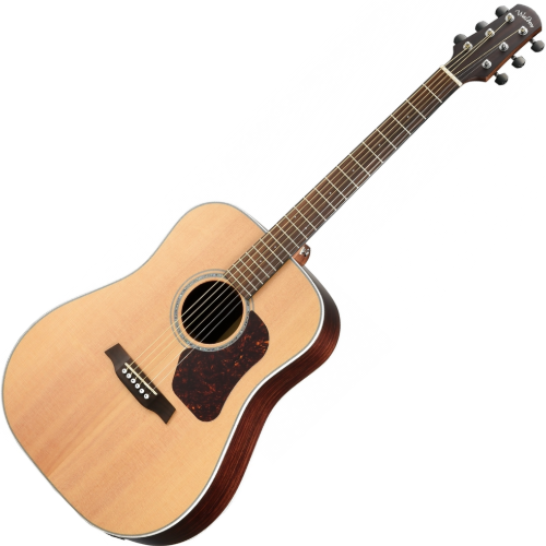 WALDEN D 800 EW (N) gitara elektroakustyczna