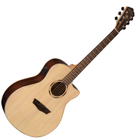 WASHBURN WLO 20 SCE (N) gitara elektroakustyczna