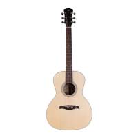 Levinson LG-243 NS EA - gitara akustyczna