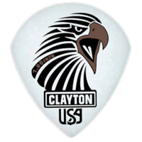 STEVE CLAYTON SAST 100 / 12 piórka w set'ach