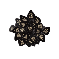 ERNIE BALL EB 9124 piórka w set'ach