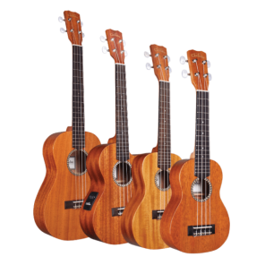 Wszystkie odmiany ukulele 